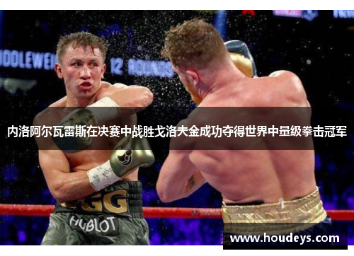 内洛阿尔瓦雷斯在决赛中战胜戈洛夫金成功夺得世界中量级拳击冠军 内洛阿尔瓦雷斯在决赛中战胜戈洛夫金成功夺得世界中量级拳击冠军