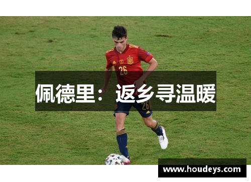 佩德里：返乡寻温暖