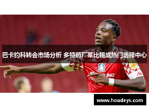 巴卡约科转会市场分析 多特药厂莱比锡成热门选择中心 巴卡约科转会市场分析 多特药厂莱比锡成热门选择中心