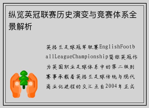纵览英冠联赛历史演变与竞赛体系全景解析