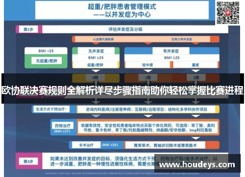 欧协联决赛规则全解析详尽步骤指南助你轻松掌握比赛进程